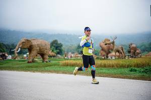 BIB: 
                            <button type="button" onclick="openModal(22406307)" class="btn btn-primary btn-sm float-right btn-popup" data-toggle="modal" data-target=".modal-high-quality">
                        <i class="fas fa-shopping-cart"></i> Add to Cart
                    </button>
                                            <button type="button" onclick="isThisMe(22406307, true)" class="btn btn-success btn-sm float-right btn-popup btn-isme hidden" data-toggle="tooltip" data-placement="bottom" title="นี่คือรูปของคุณใช่ไหม คลิกที่นี่เพื่อเอาเข้าอัลบั้ม">
                        <i class="fas fa-plus"></i> Add to album
                    </button>
                    <button type="button" onclick="isThisMe(22406307, false)" class="btn btn-warning btn-sm float-right btn-popup btn-isnotme hidden">
                        <i class="fas fa-ban"></i> Remove from album
                    </button>